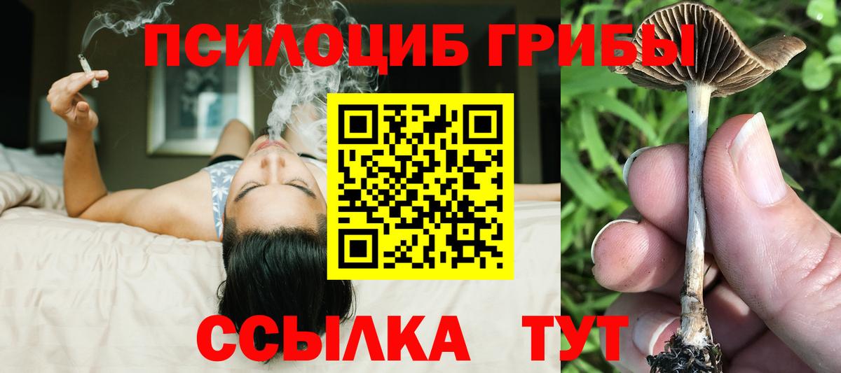 Лениногорск  Псилоцибиновые грибы Psilocybe  Вход с VPN 